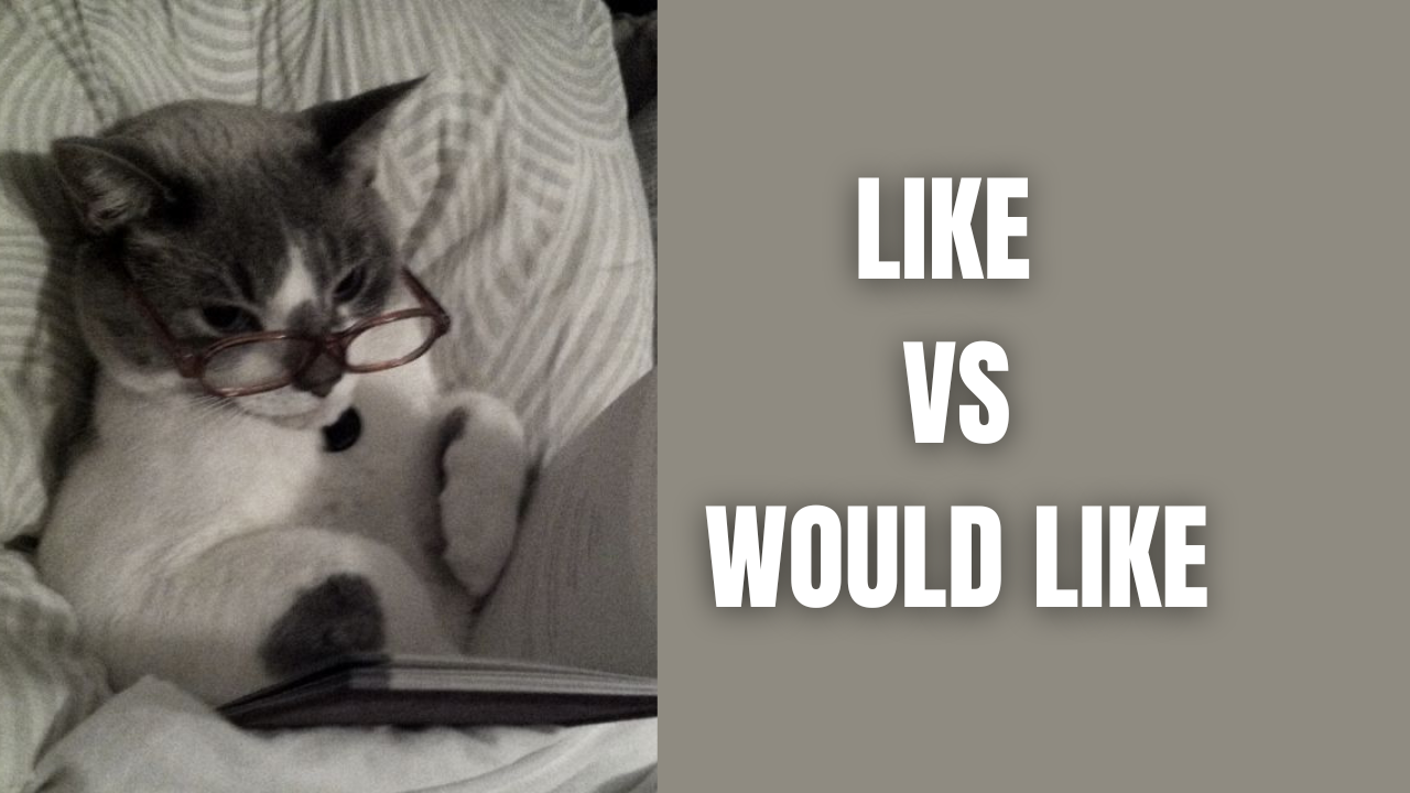 Do You Like It or Would You Like It?